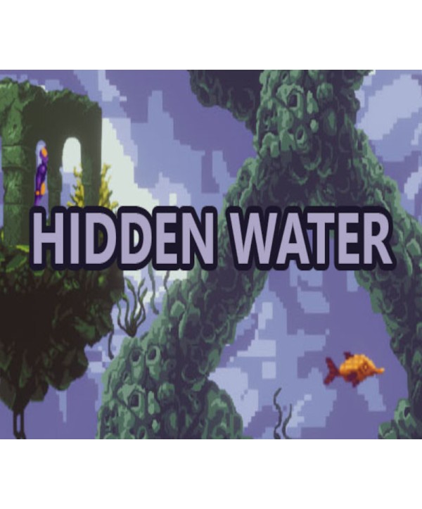 Hidden Water Steam Key GLOBAL